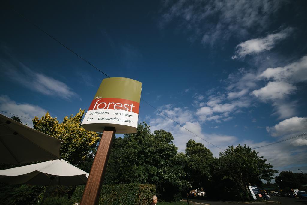 Forest Hotel 도리지 외부 사진